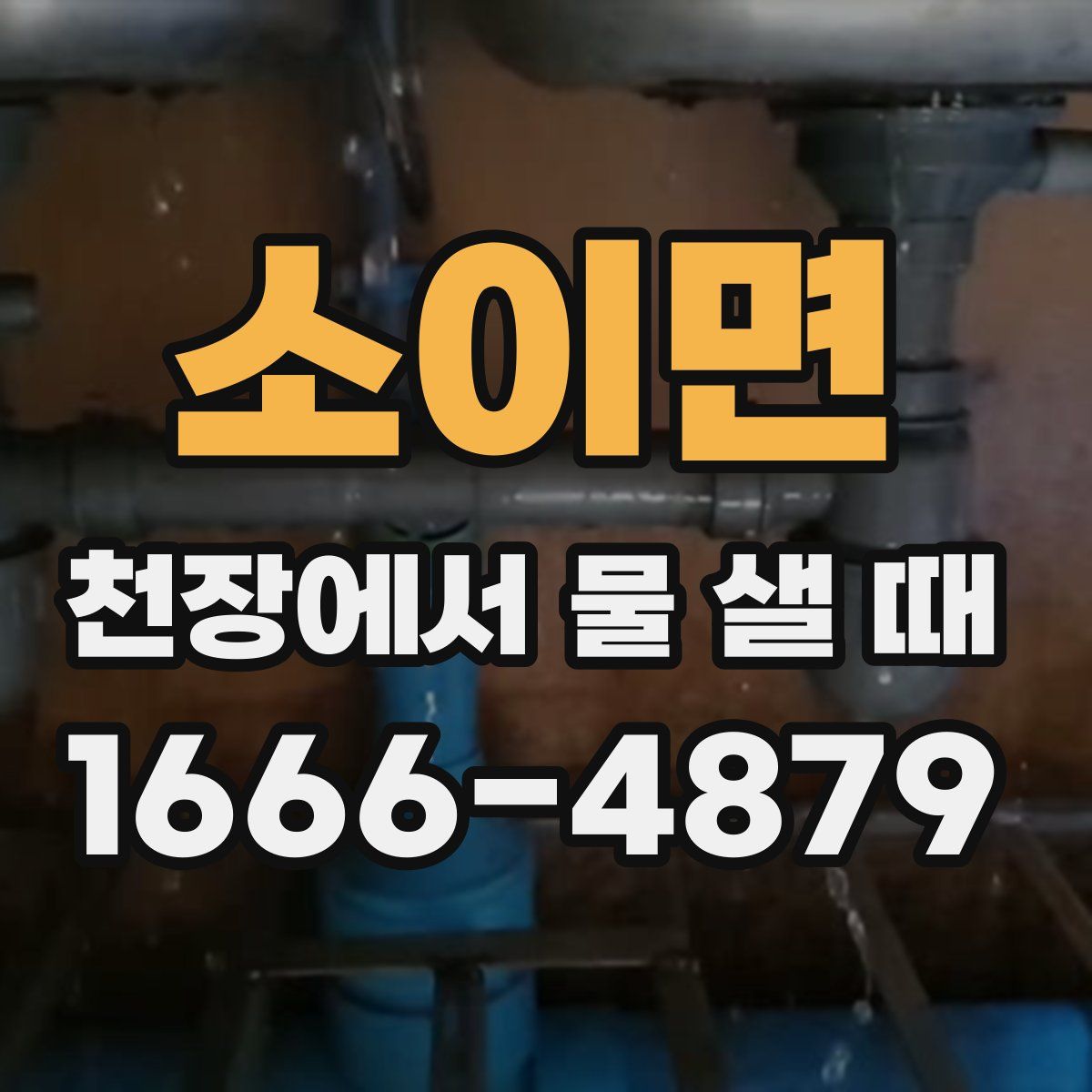 소이면 천장에서 물 샐 때