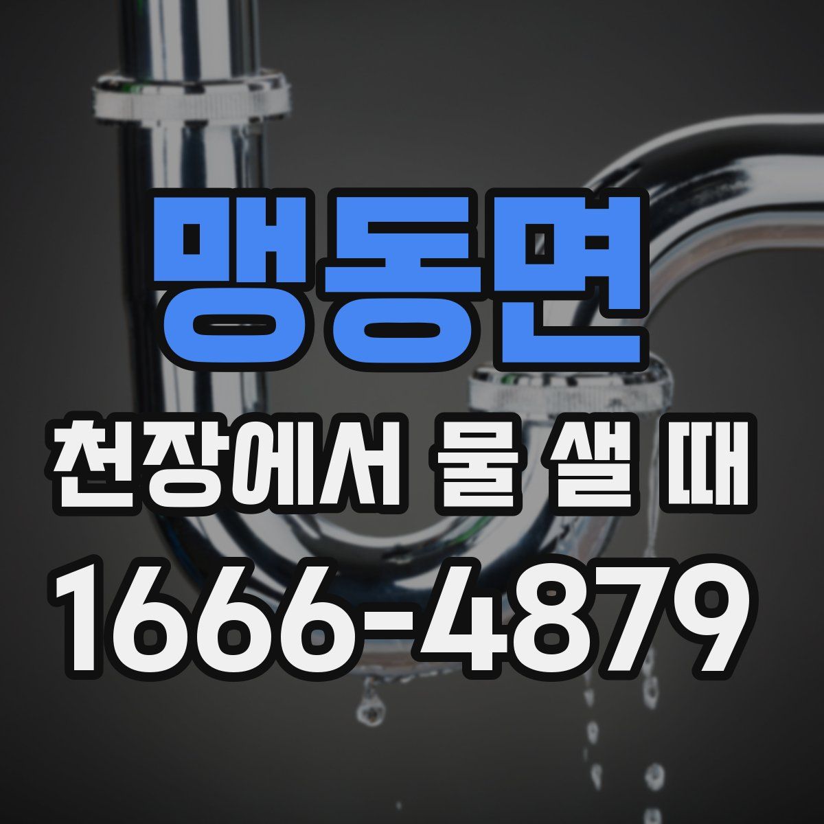 맹동면 천장에서 물 샐 때