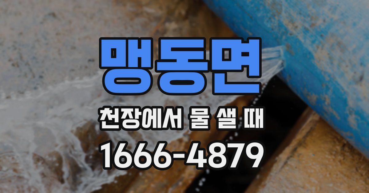 맹동면 천장에서 물 샐 때