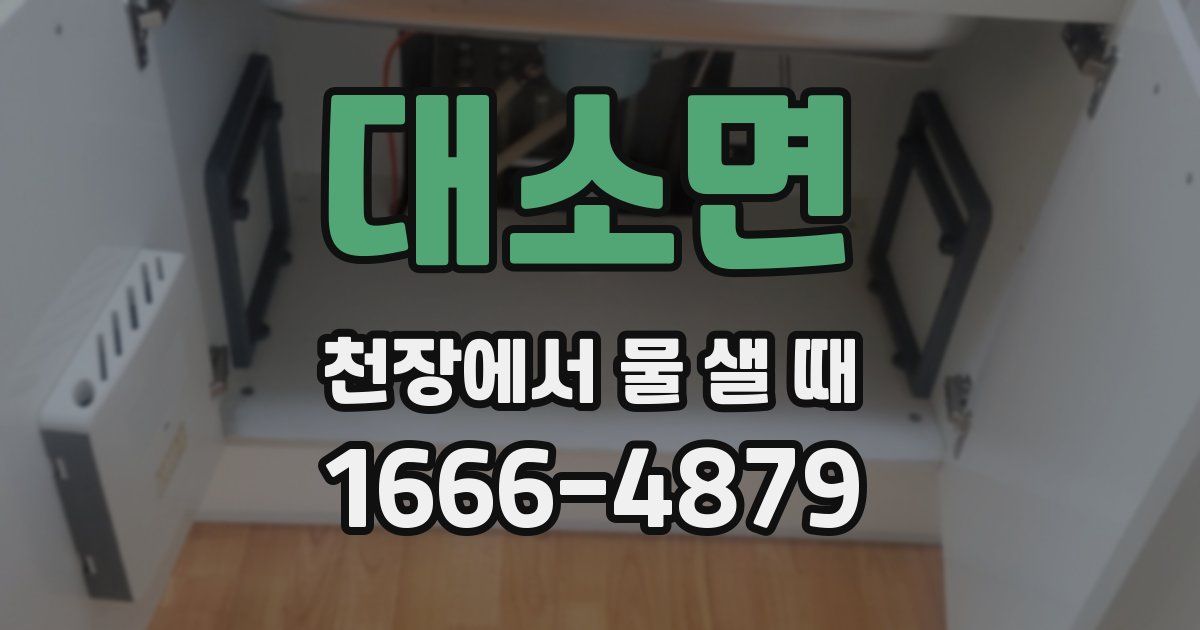 대소면 천장에서 물 샐 때
