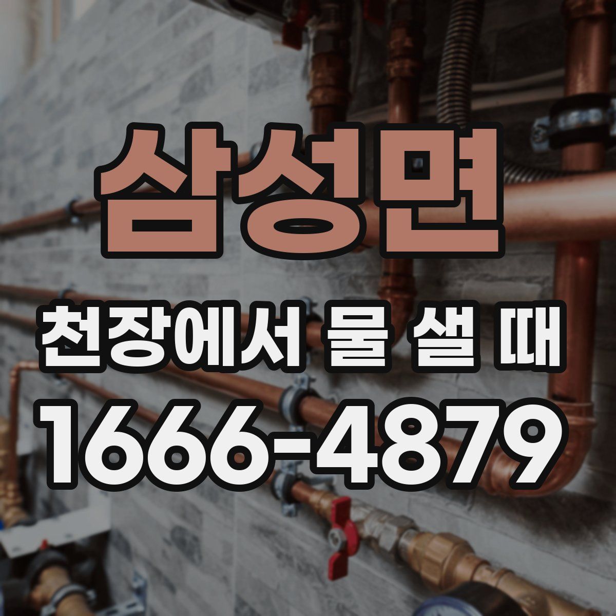 삼성면 천장에서 물 샐 때