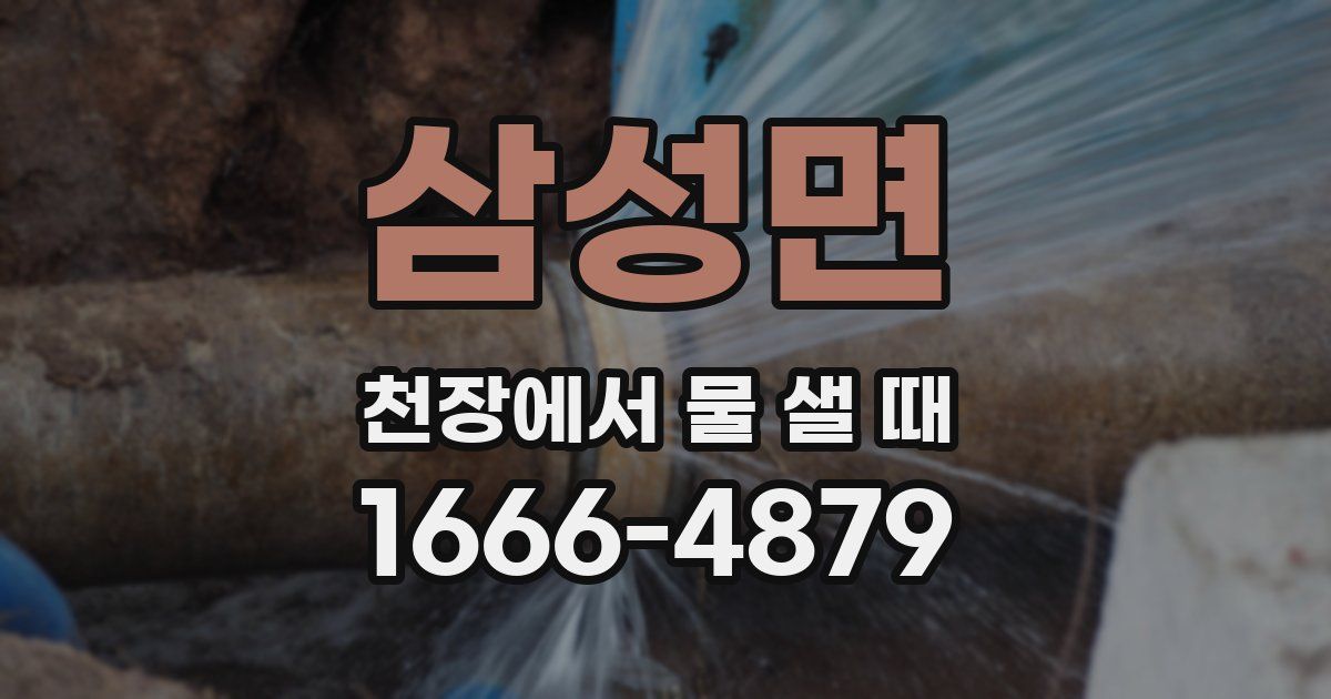 삼성면 천장에서 물 샐 때