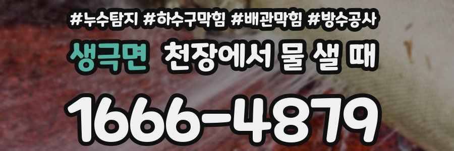 생극면 천장에서 물 샐 때