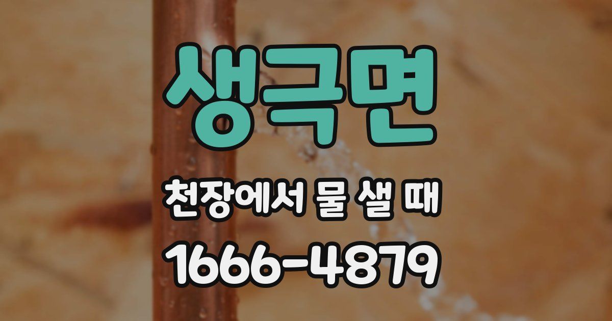 생극면 천장에서 물 샐 때