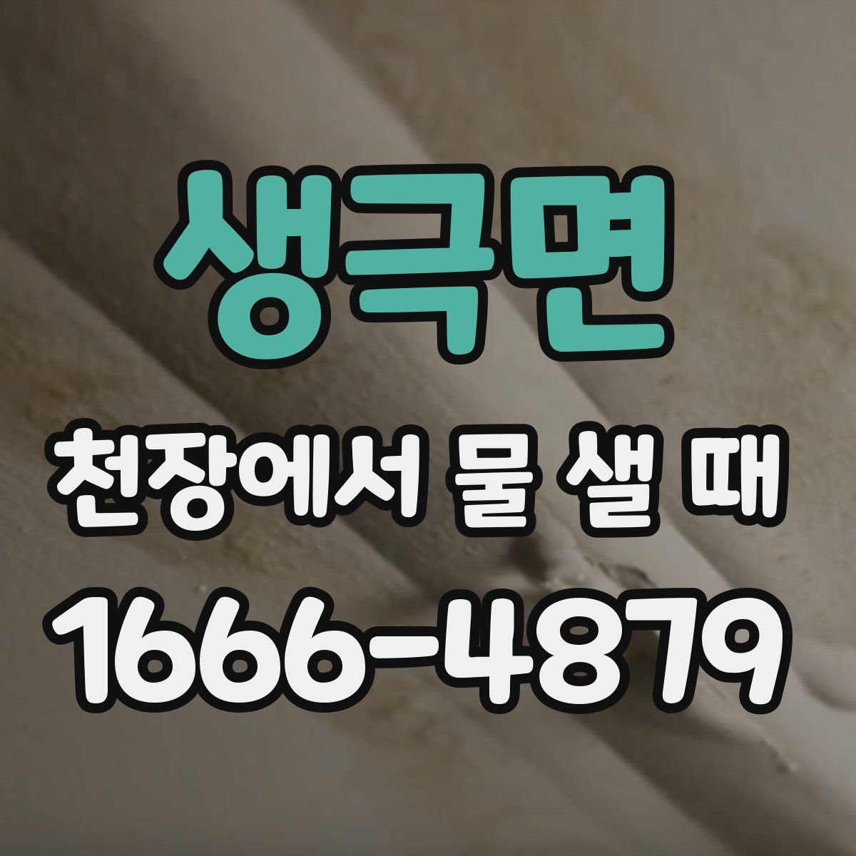 생극면 천장에서 물 샐 때