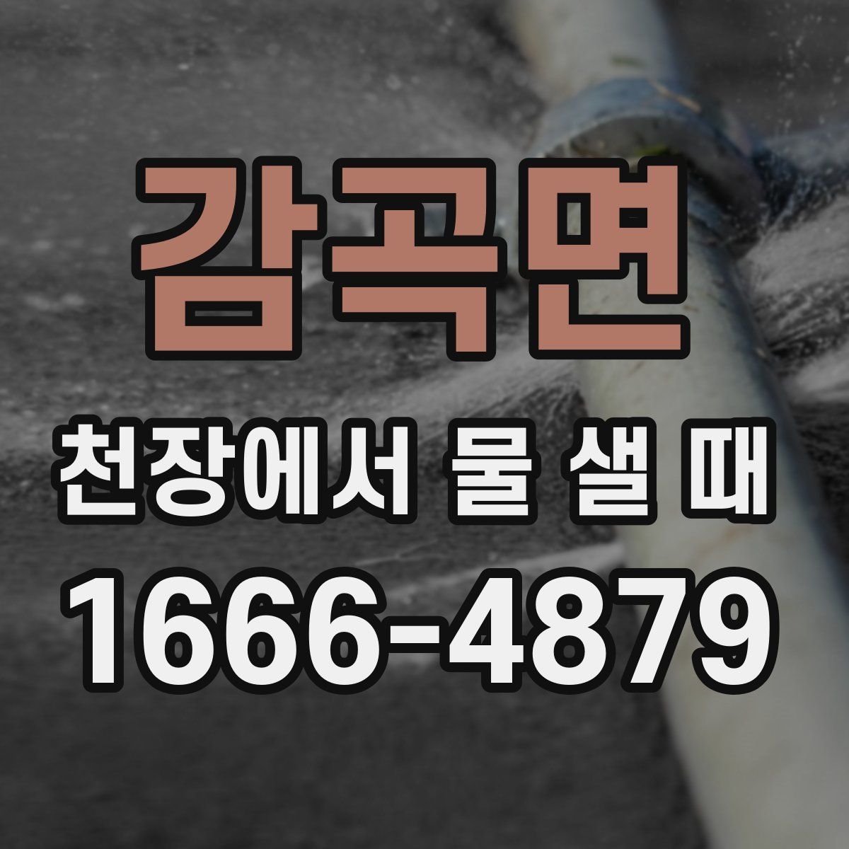 감곡면 천장에서 물 샐 때