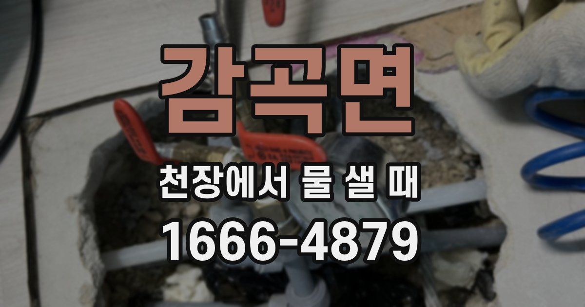 감곡면 천장에서 물 샐 때