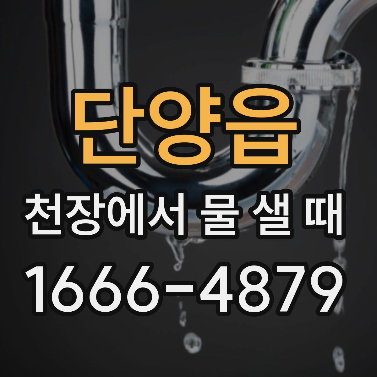 단양읍 천장에서 물 샐 때
