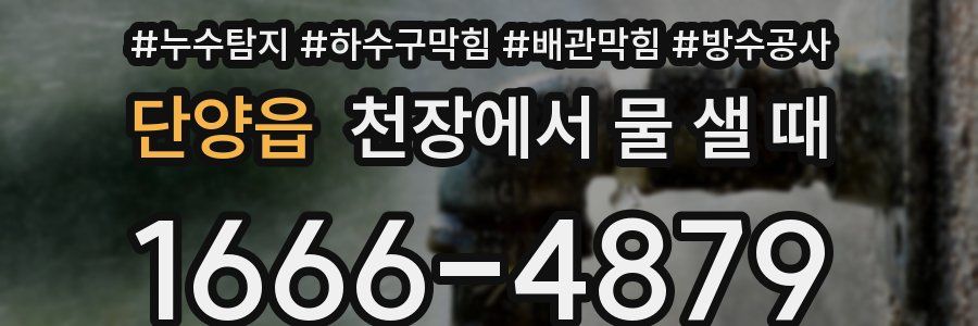 단양읍 천장에서 물 샐 때