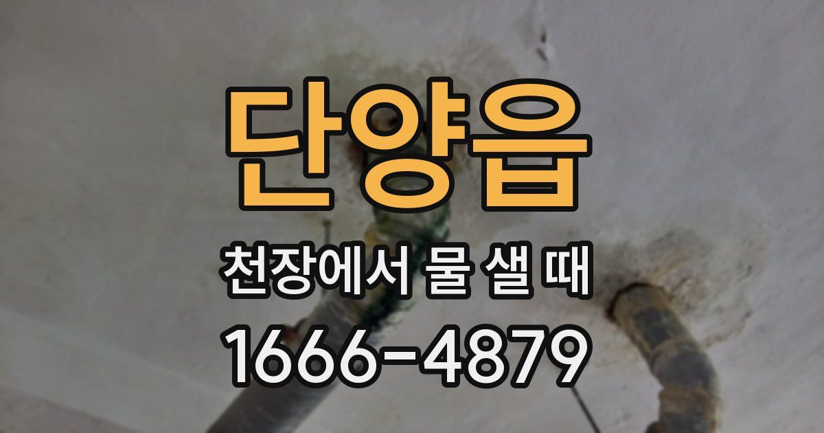 단양읍 천장에서 물 샐 때