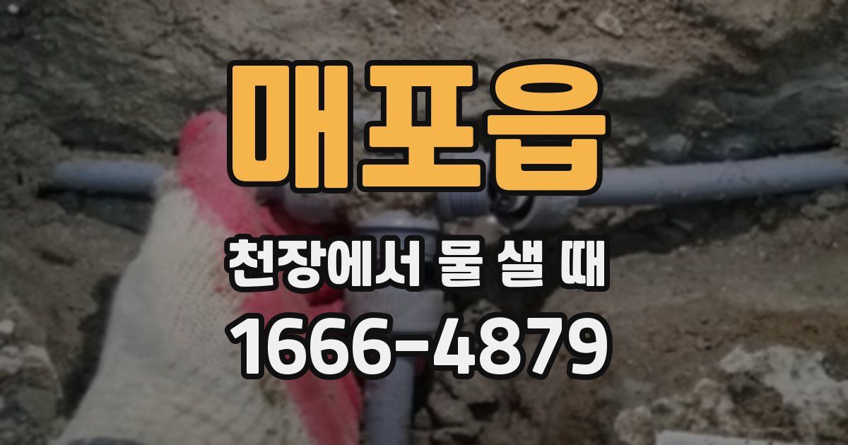 매포읍 천장에서 물 샐 때