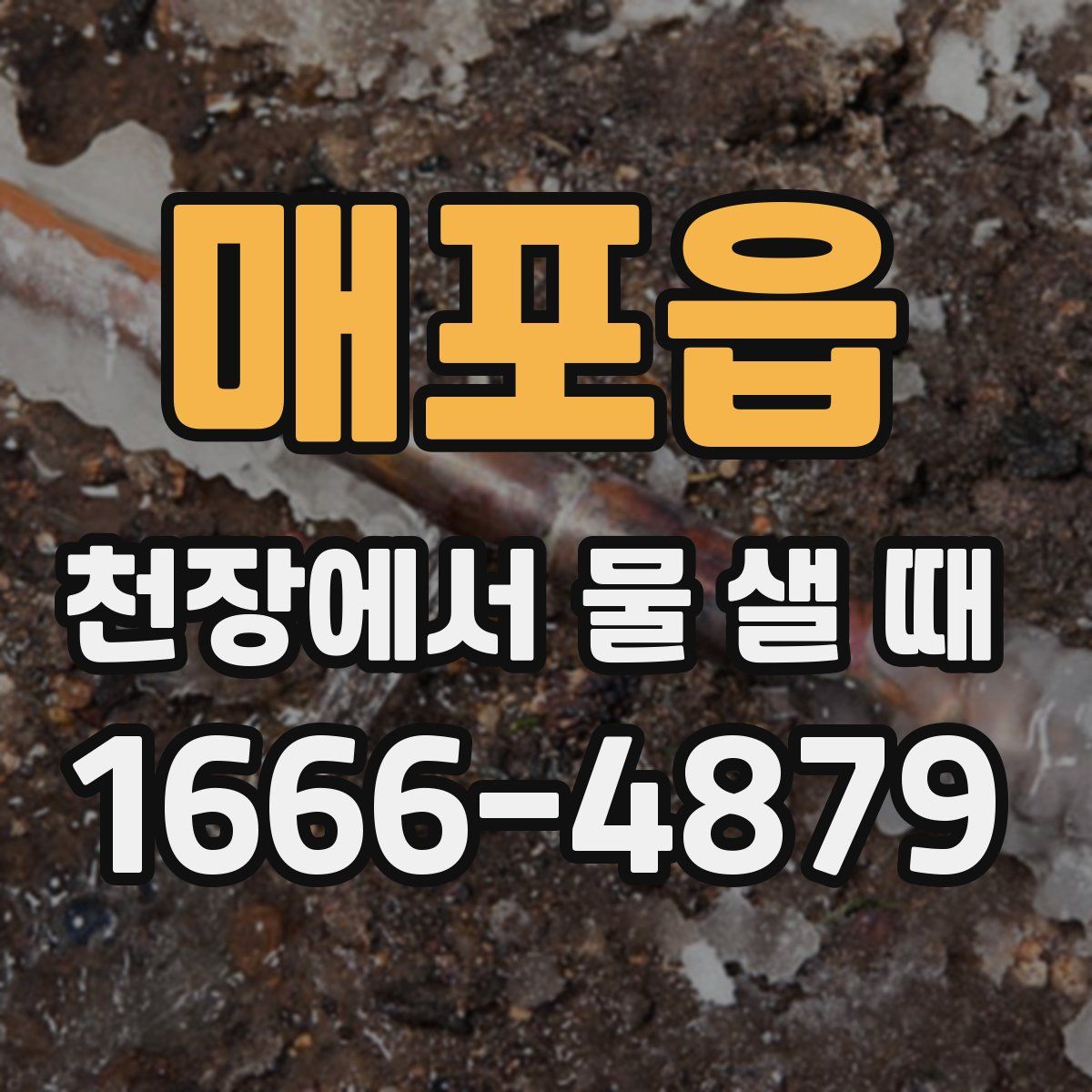 매포읍 천장에서 물 샐 때