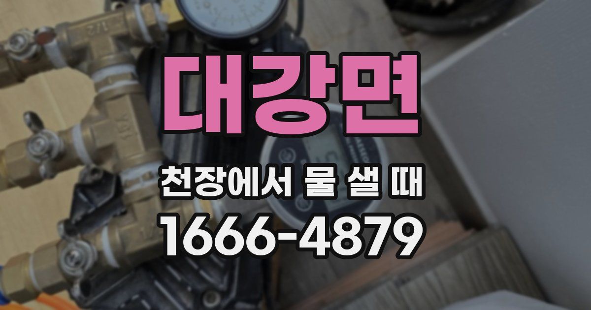 대강면 천장에서 물 샐 때