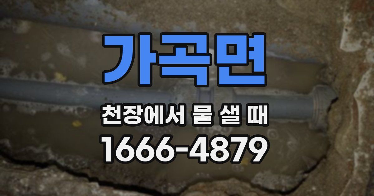 가곡면 천장에서 물 샐 때