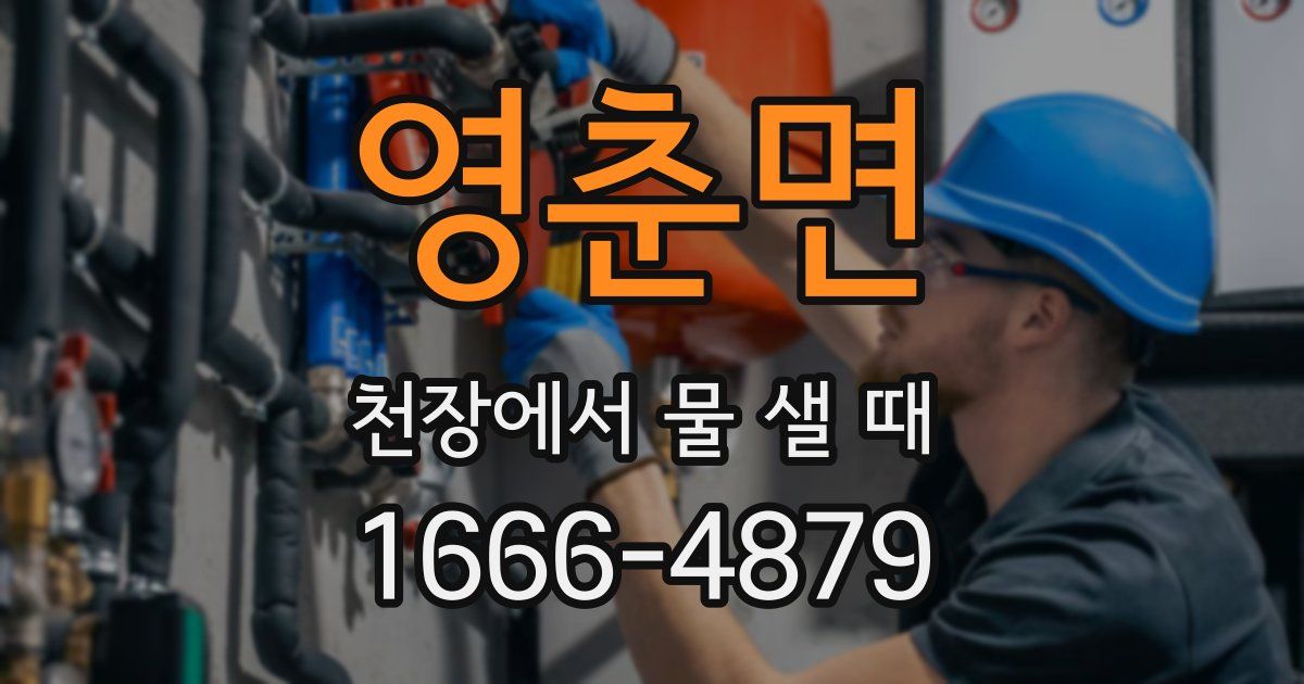영춘면 천장에서 물 샐 때