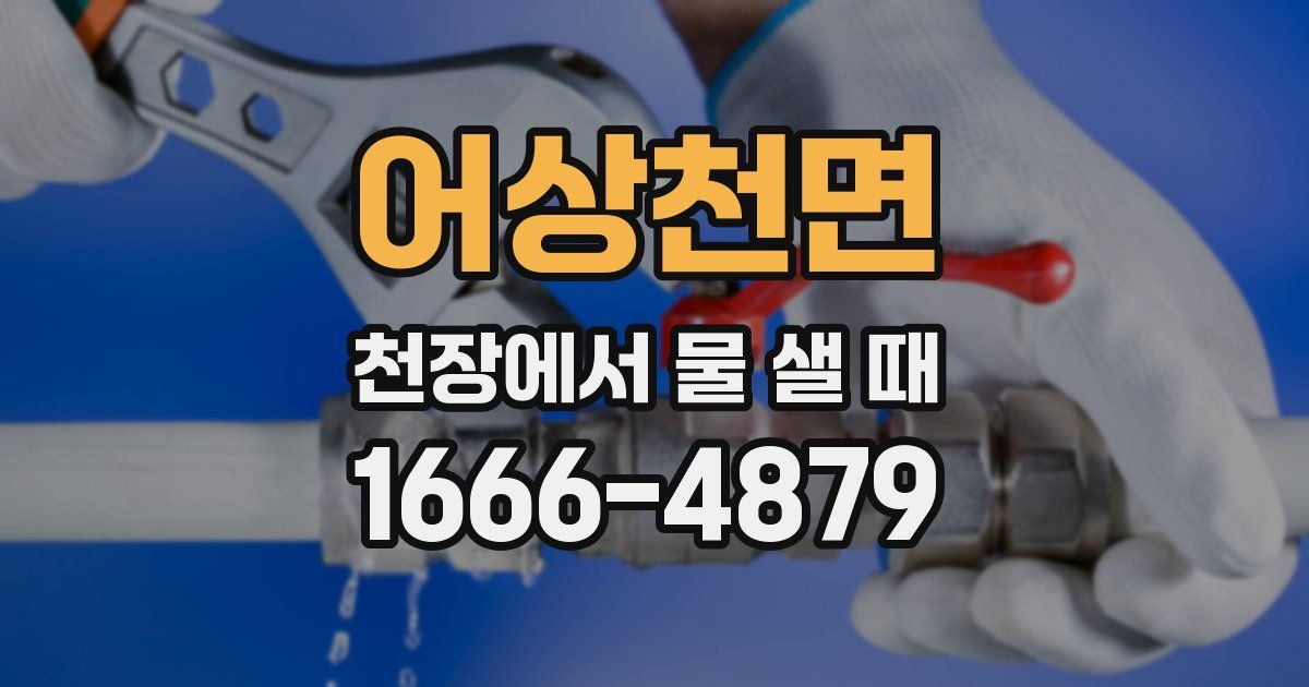 어상천면 천장에서 물 샐 때