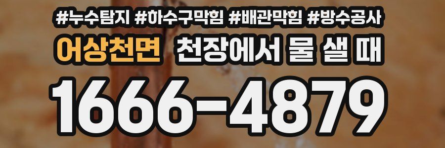 어상천면 천장에서 물 샐 때