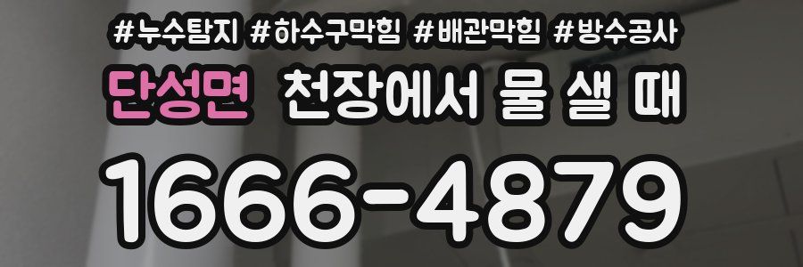 단성면 천장에서 물 샐 때