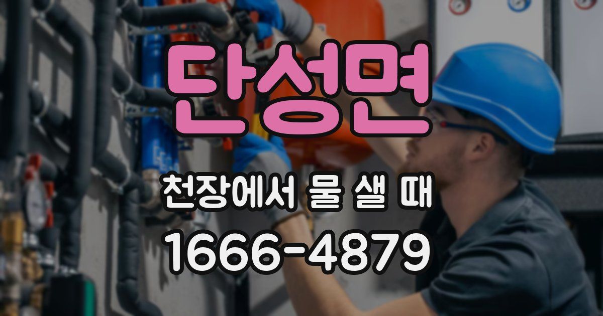 단성면 천장에서 물 샐 때