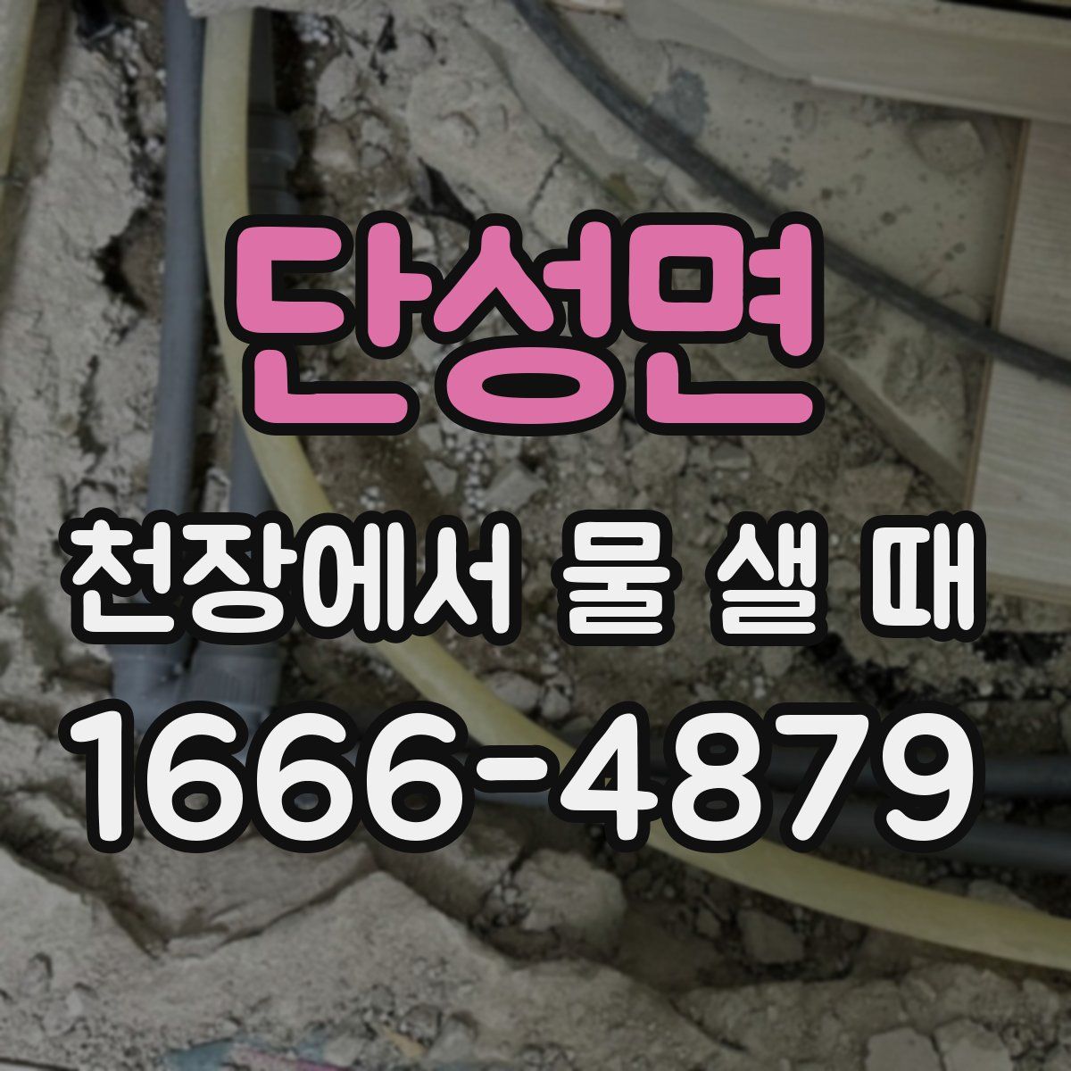 단성면 천장에서 물 샐 때