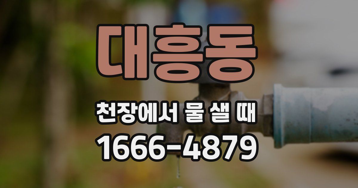 대흥동 천장에서 물 샐 때