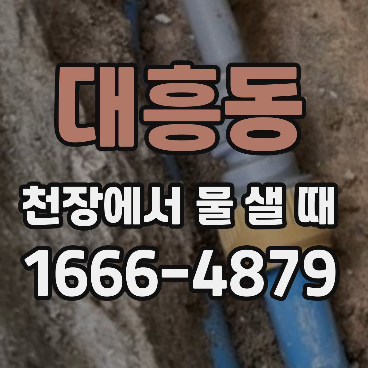 대흥동 천장에서 물 샐 때