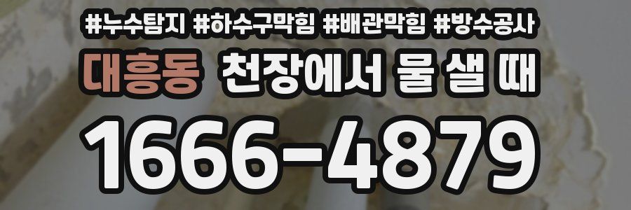 대흥동 천장에서 물 샐 때