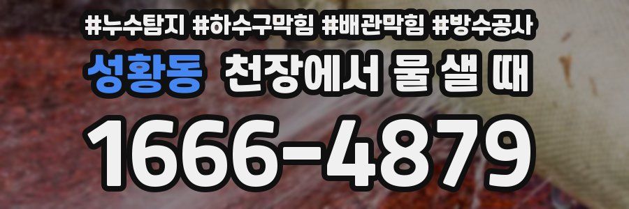 성황동 천장에서 물 샐 때