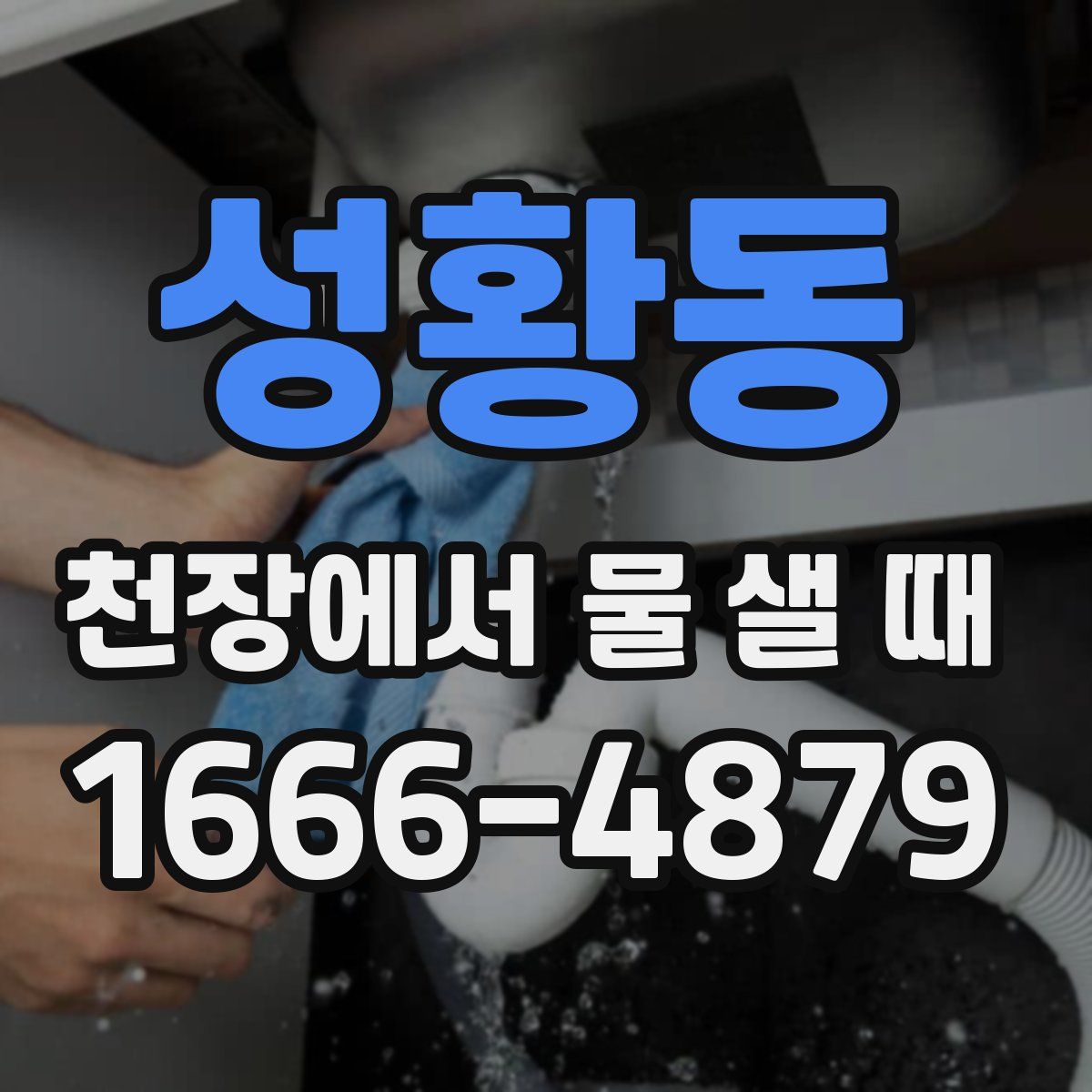 성황동 천장에서 물 샐 때