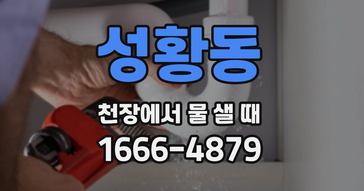 성황동 천장에서 물 샐 때