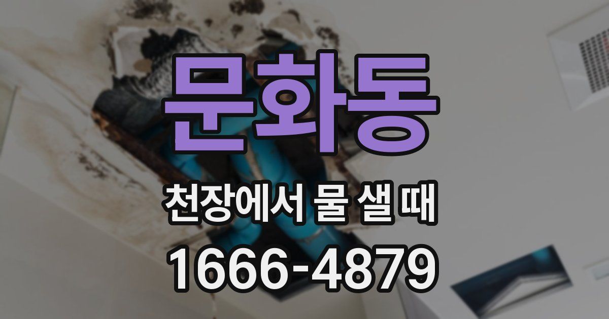 문화동 천장에서 물 샐 때