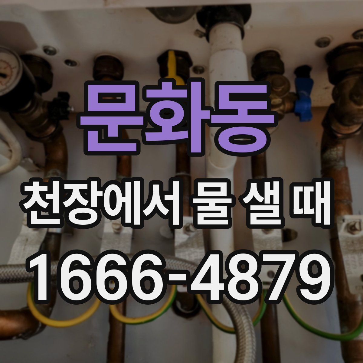 문화동 천장에서 물 샐 때