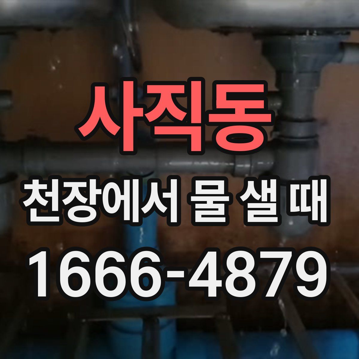 사직동 천장에서 물 샐 때