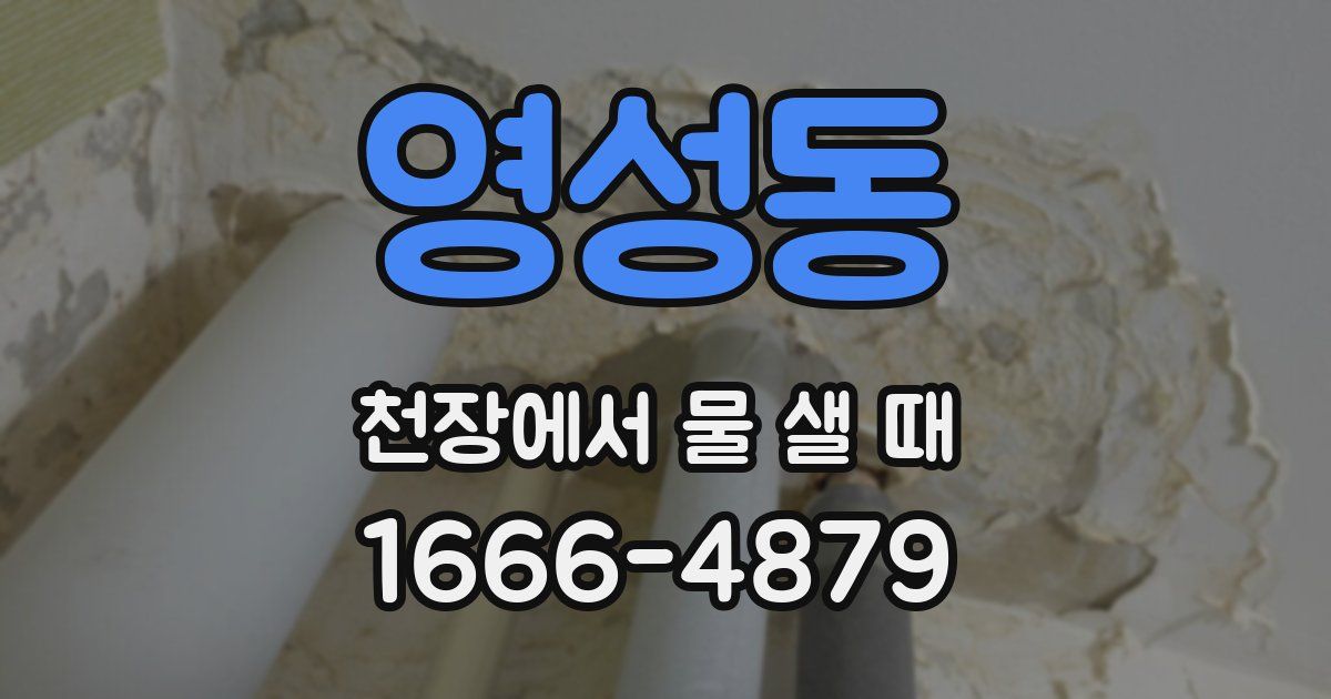 영성동 천장에서 물 샐 때