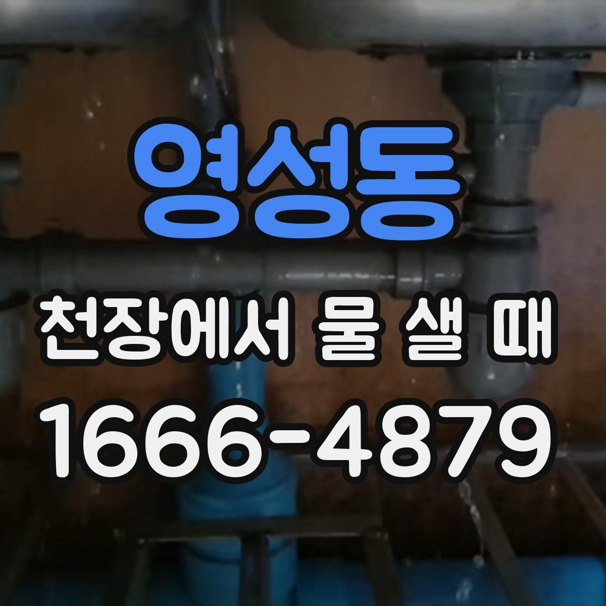 영성동 천장에서 물 샐 때