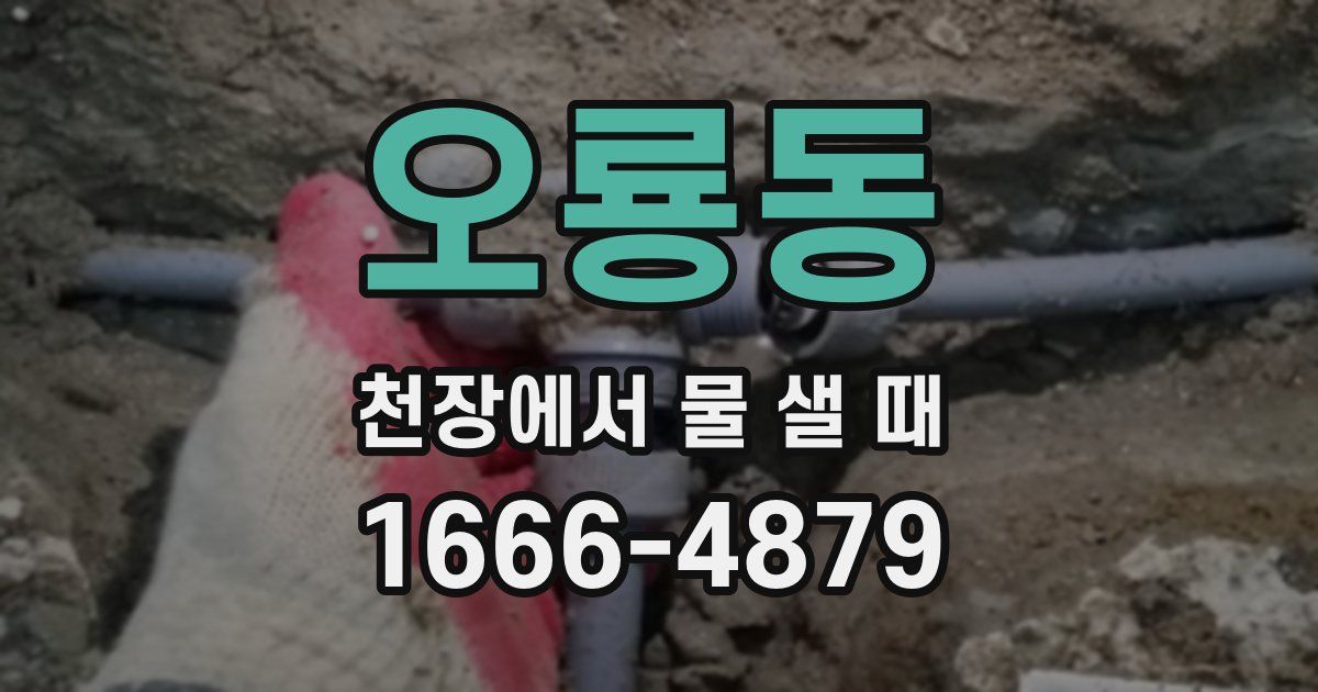 오룡동 천장에서 물 샐 때