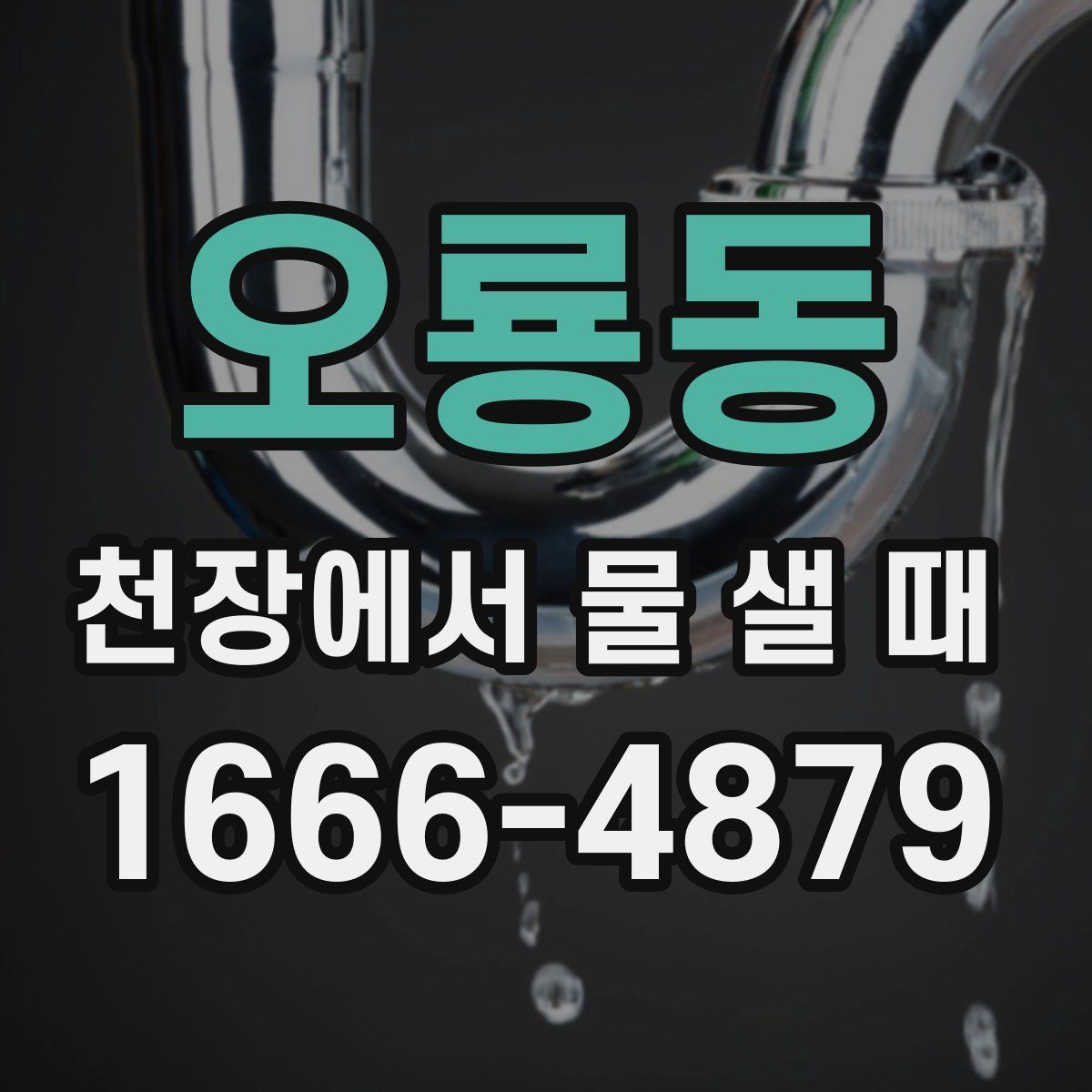 오룡동 천장에서 물 샐 때
