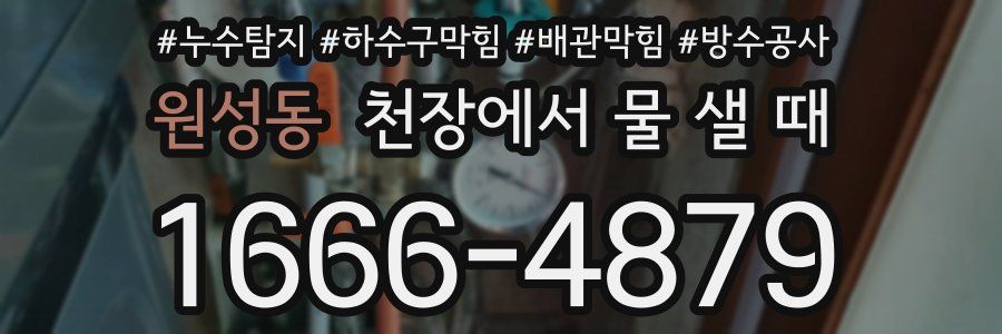 원성동 천장에서 물 샐 때