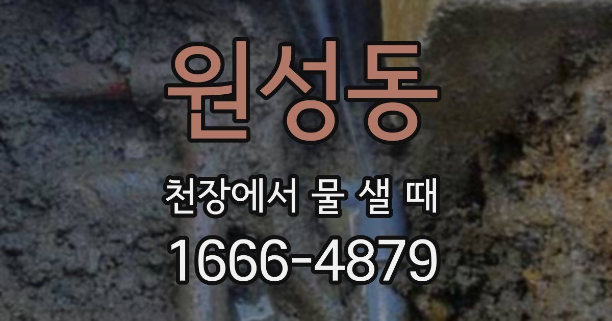 원성동 천장에서 물 샐 때