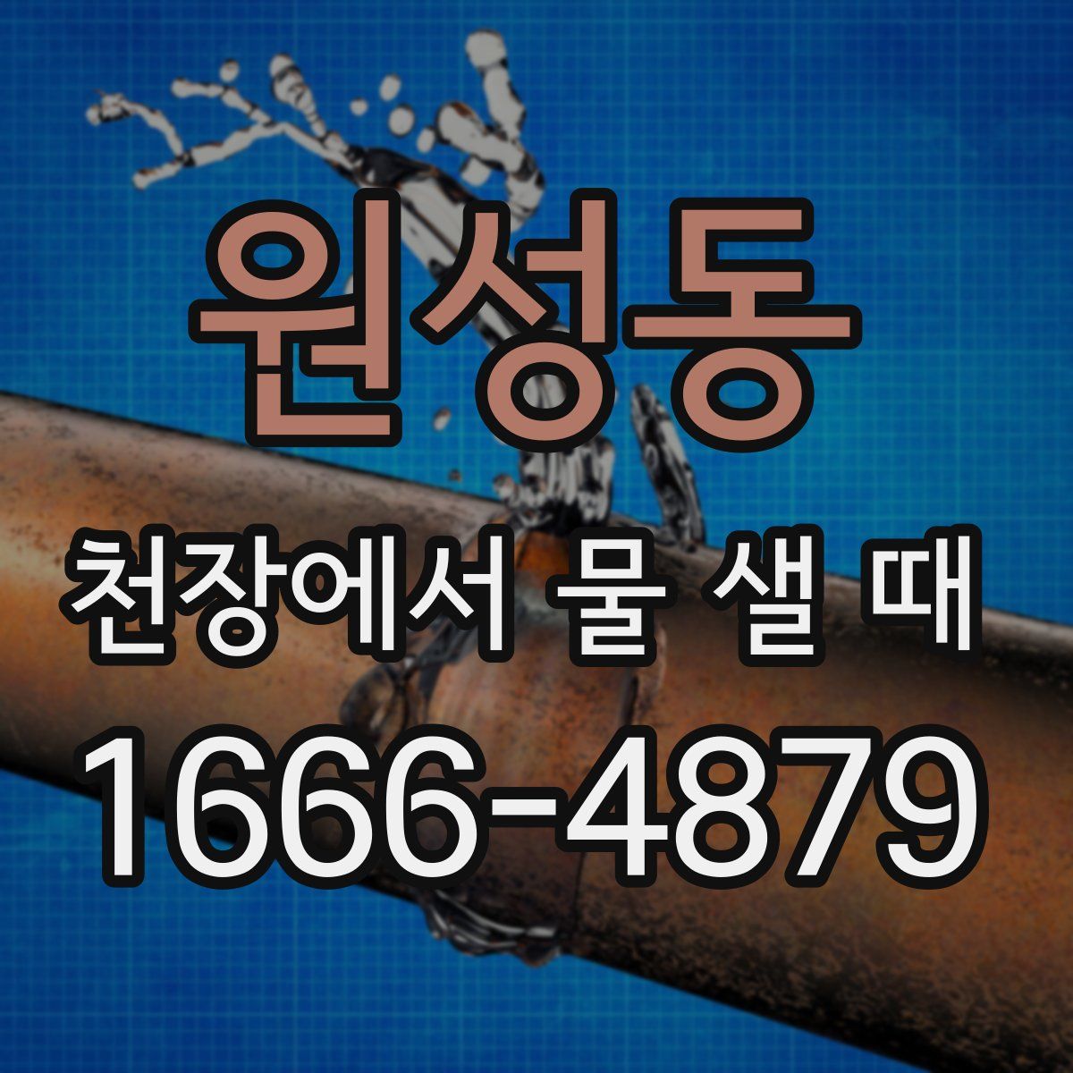 원성동 천장에서 물 샐 때