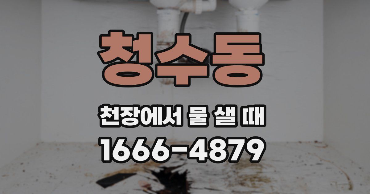 청수동 천장에서 물 샐 때