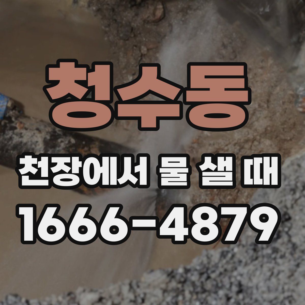 청수동 천장에서 물 샐 때