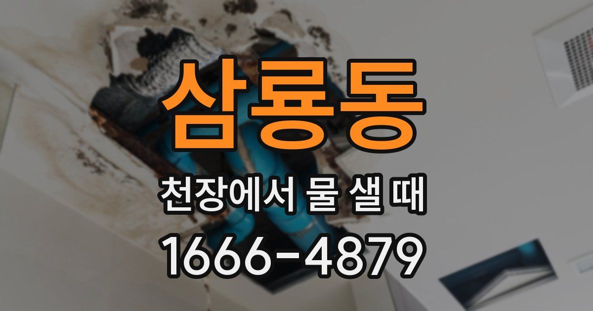 삼룡동 천장에서 물 샐 때