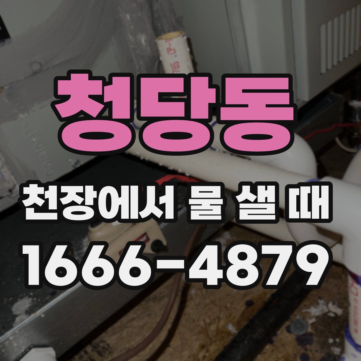 청당동 천장에서 물 샐 때