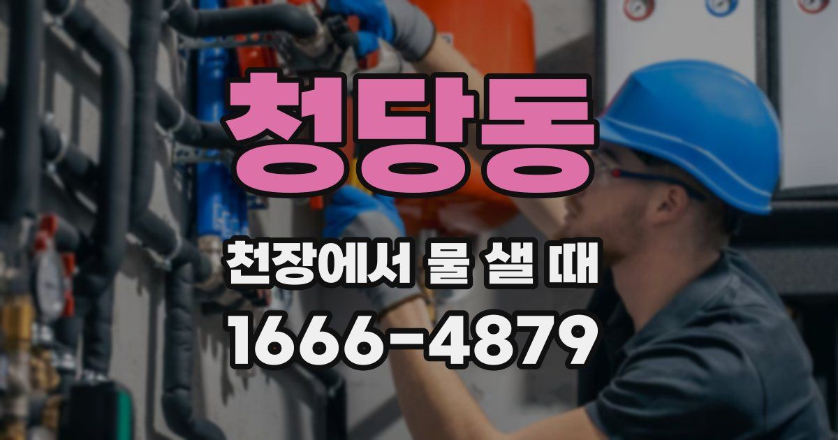 청당동 천장에서 물 샐 때