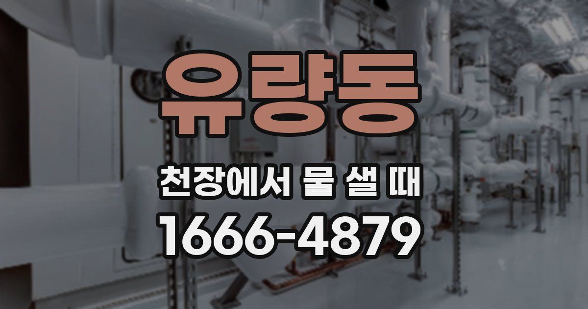 유량동 천장에서 물 샐 때