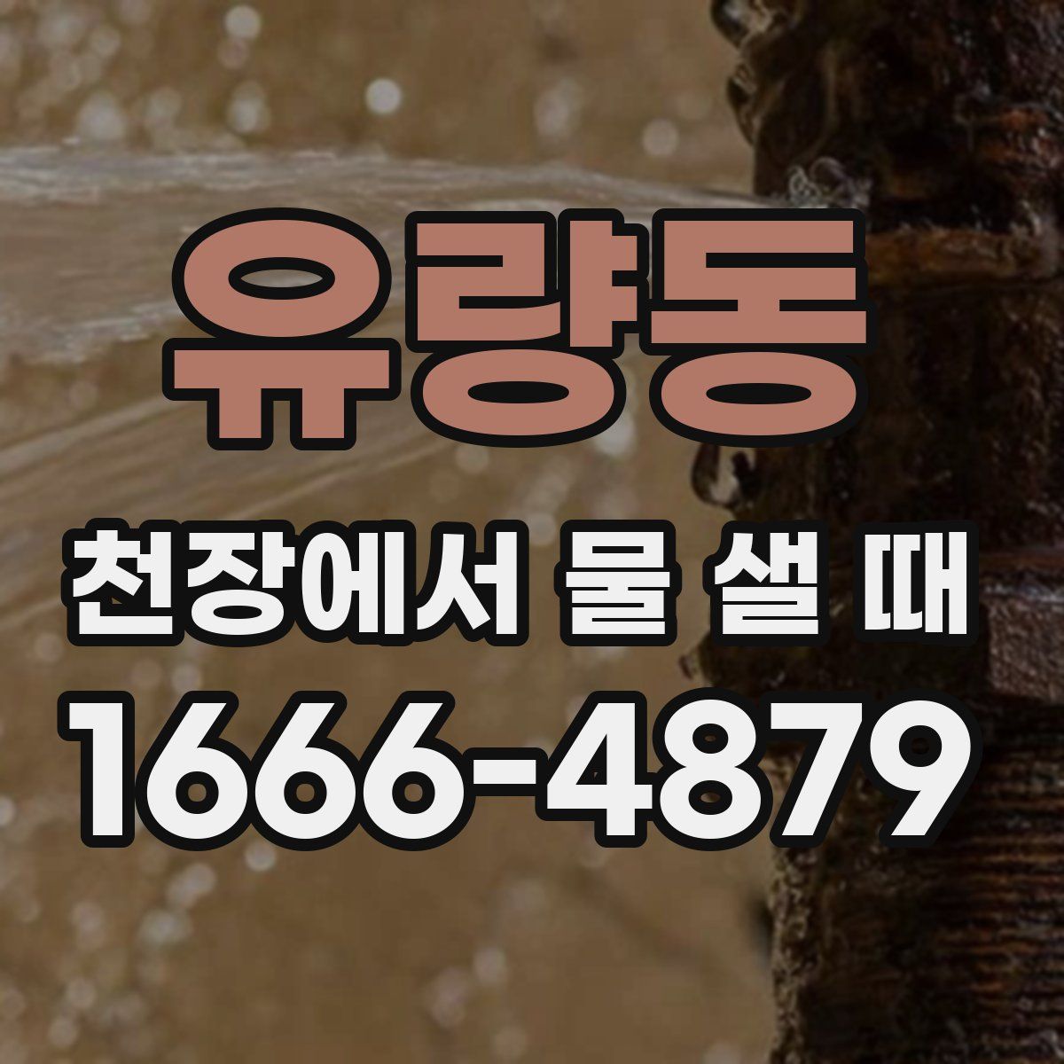 유량동 천장에서 물 샐 때