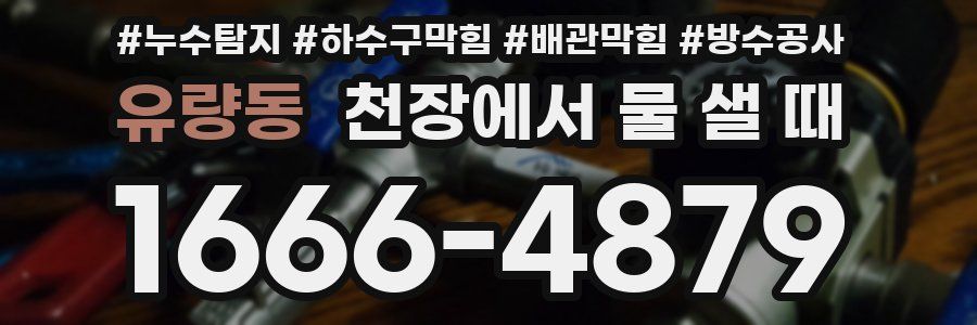 유량동 천장에서 물 샐 때