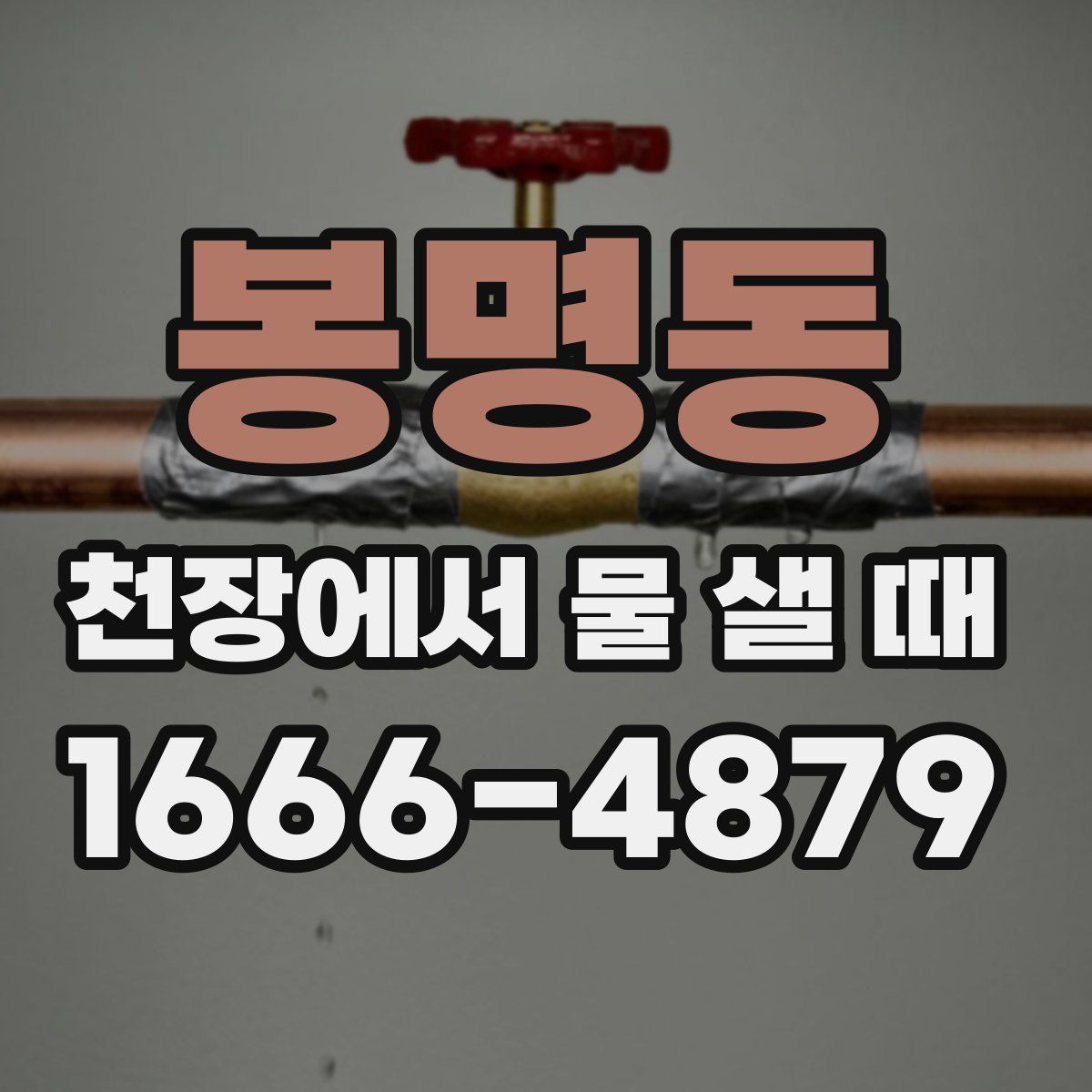 봉명동 천장에서 물 샐 때