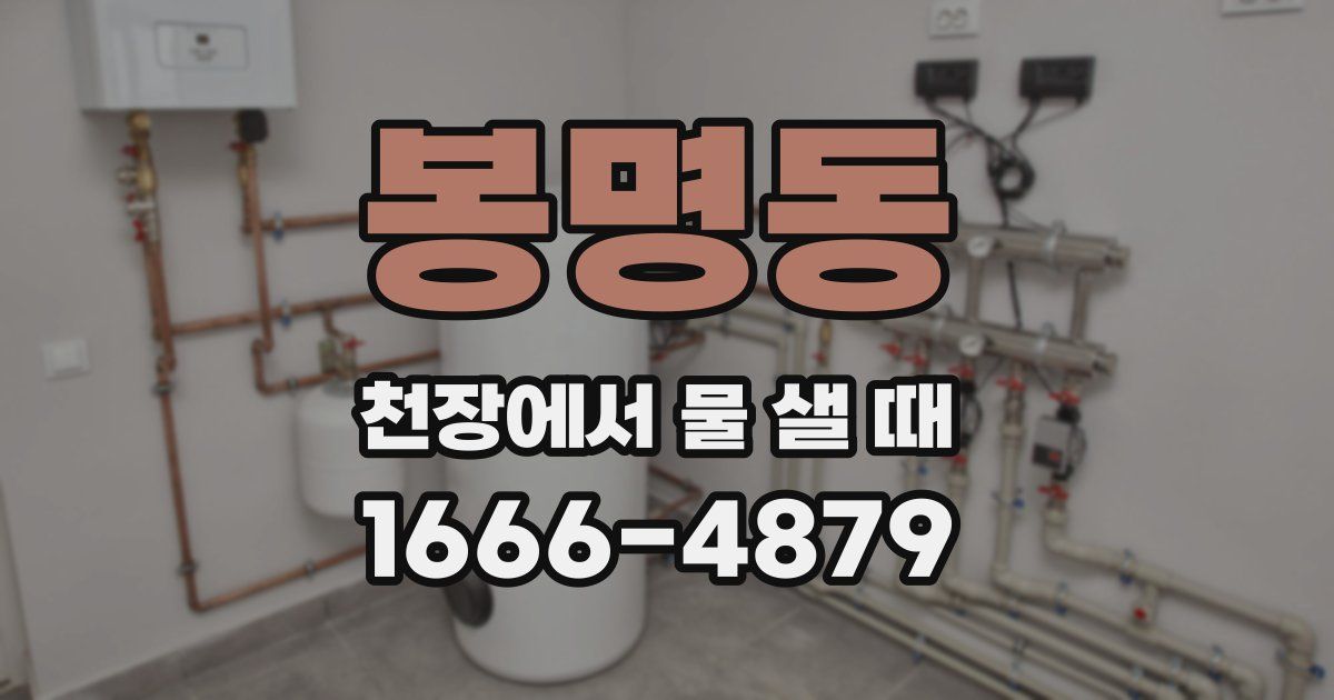 봉명동 천장에서 물 샐 때